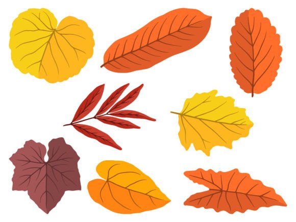 Autumn Falling Leaves Illustration Review for Embroidery Projects