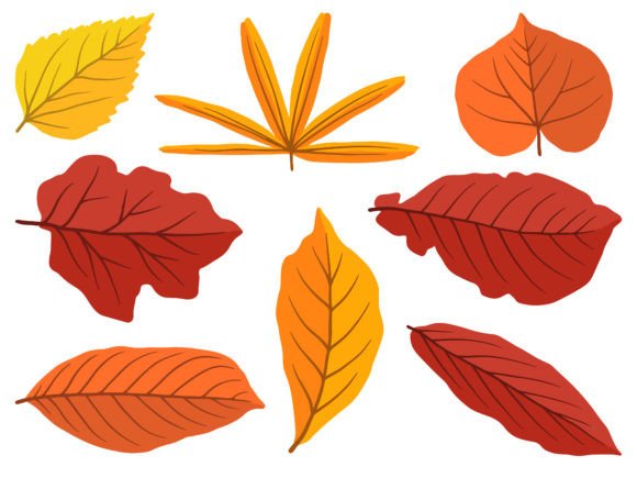 Autumn Forest Leaf Illustration Review for Real Embroidery Projects