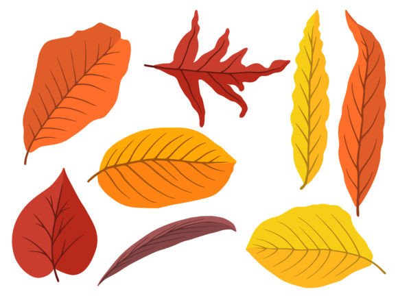 Autumn Leaves Illustration Review for Real Embroidery Projects
