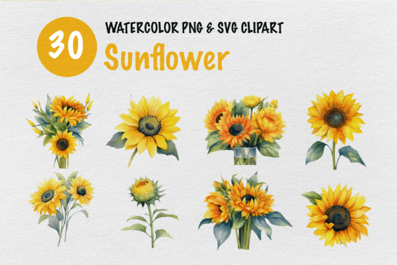 Sunflower Watercolor Clipart for Embroidery Projects